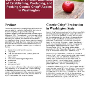2024 Cost Estimates of Establishing, Producing, and Packing Cosmic Crisp Apples in Washington