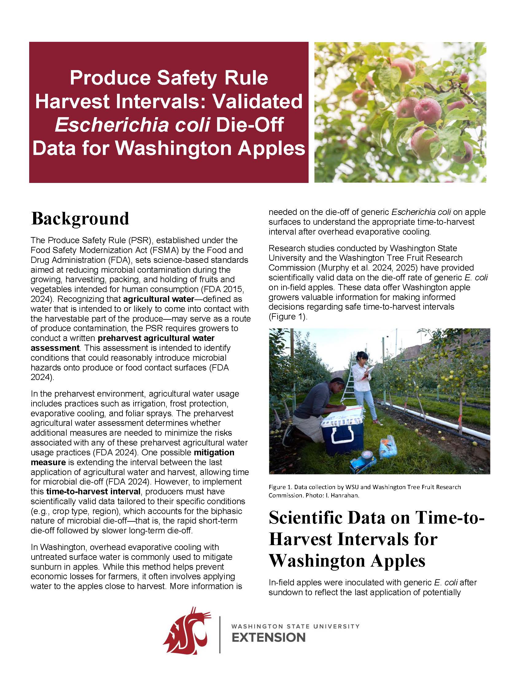 Produce Safety Rule Harvest Intervals: Validated Escherichia coli Die ...