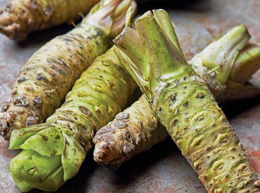 Cleaned and prepared green wasabi stems.