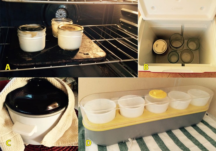 Collage of four images together: Top left image: yogurt being incubated in glass jars in an oven. Top right image: yogurt being incubated in glass jars in an insulated cooler. Bottom left image: a crockpot wrapped in a towel. Bottom right image: a commercial yogurt machine, which has a plastic lid and five slots for yogurt incubation.