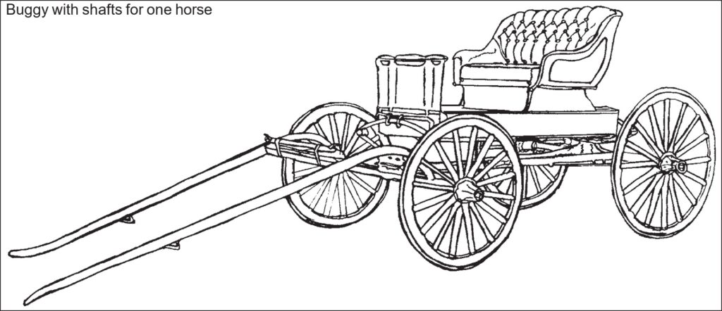 Four-wheeled buggy with plush passenger seating and two shafts extending forward for a single horse.