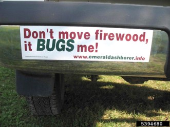 A bumper sticker warning people not to move firewood that reads "Don't move firewood, it BUGS me!" with the link to information on the emerald ash borer website.