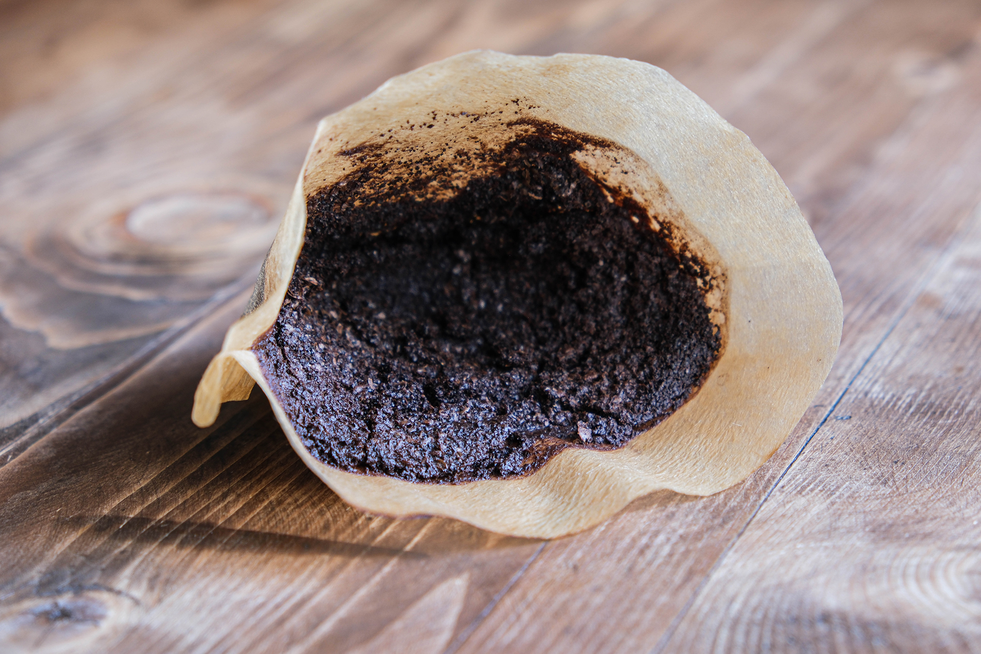 Using Coffee Grounds in Gardens and Landscapes (Home Garden ...
