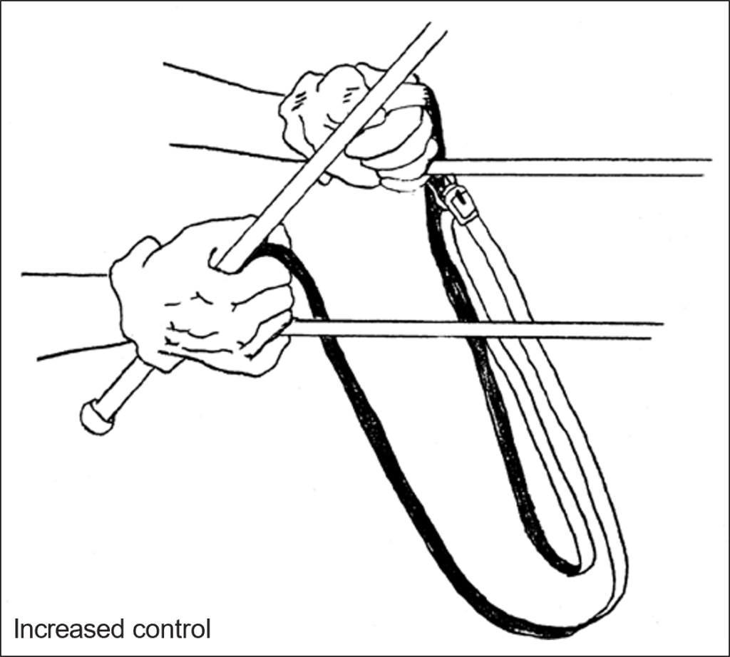 Hand-and-rein diagram showing how the reins are positioned through the fingers to maintain secure contact and greater control of the horse.