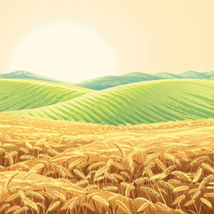 Best Management Practices for Managing Herbicide Resistance