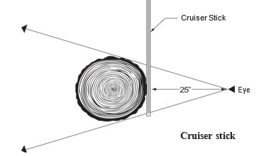 Tree-diameter measuring diagram showing a vertical “Cruiser Stick” beside a circular tree cross-section, with lines extending diagonally toward an “Eye” at a marked distance of 25 inches away from the stick.