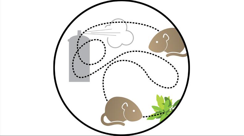 Cartoon of two voles being sprayed with a repellant