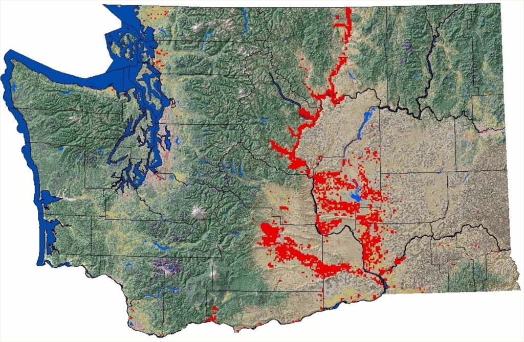 A physical map of WA with county lines and red dots where fruit orchards are located. The red dots are mostly in the parts of central Washington.