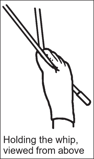 Top-view illustration of a driver’s hand holding a driving whip, showing correct finger placement and balance.