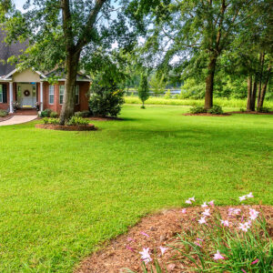 Beautiful lawn with house in the background