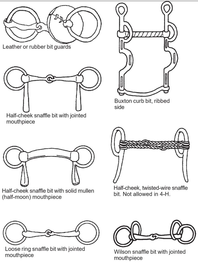 A diagram of many different bits. Leather or rubber bit guards, pictured as a pair of circular bit guards designed to sit at the corners of the horse’s mouth and prevent pinching. A half-cheek snaffle bit with jointed mouthpiece with side arms that help prevent the bit from sliding through the mouth. Half-cheek snaffle featuring a solid curved mullen (half-moon) mouthpiece for even pressure. Simple loose-ring snaffle with circular rings attached to a jointed mouthpiece. Buxton-style curb bit displaying the ribbed side of the mouthpiece used for stronger action. Twisted-wire half-cheek snaffle shown as an example of a more severe bit that is prohibited in 4-H competition. Four-ring Wilson snaffle bit showing the jointed center mouthpiece and alternative rein positions.
