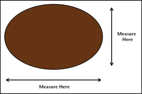 Brown oval (tree cross-section) with arrows labeled ‘Measure Here’ showing measurements across the widest horizontal and vertical axes.