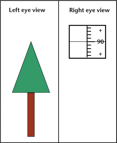 Split diagram for clinometer use: left—tree seen by the left eye; right—clinometer reticle with percent scale and ‘90’ mark seen by the right eye to overlay on the tree.