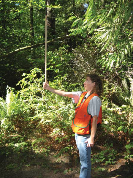 Field worker in an orange vest holds a vertical height stick at arm’s length in a forest to estimate tree height.
