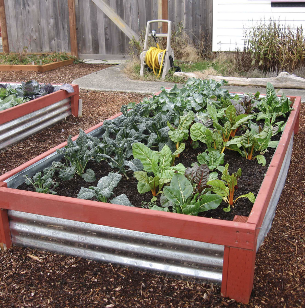 Raised gardening bed with assortment of vegetables growing in the dirt. 