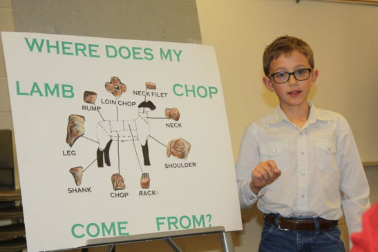 A child stands beside a poster explaining where different cuts of lamb come from.