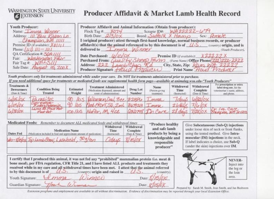 A completed Producer Affidavit and Market Lamb Health Record form with handwritten animal and medication information.