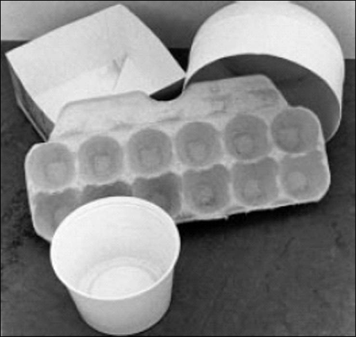 An egg carton tray, a small cup, and other containers arranged on a tabletop for a seed-starting or germination activity.