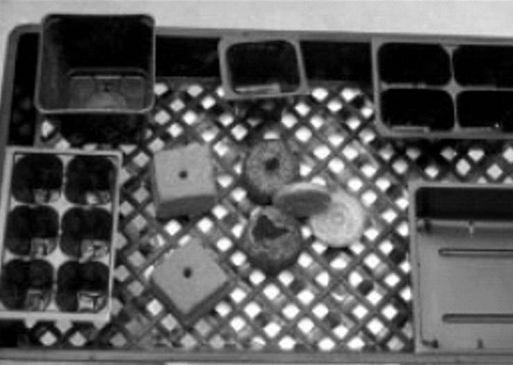 An assortment of seed-starting supplies, including small pots, trays, planting cubes, and a notebook, arranged on a lattice table.