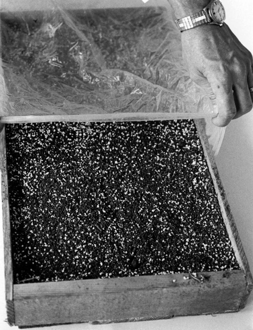 A hand pulls back clear plastic covering from a wooden planting tray filled with soil.