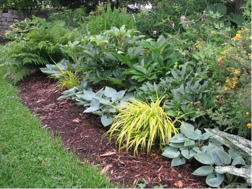 A garden with many plants borders a lawn