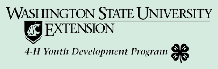 A horizontal WSU extension logo, and beneath it the program name "4-H Youth Development Program" with the clover 4-H logo beside the program name.