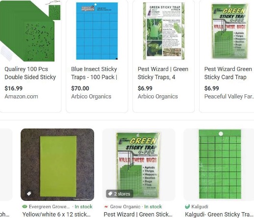 A selection of sticky cards that can attract and trap herbivorous insects.