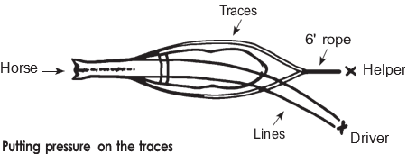 Training diagram showing Horse, Lines, Driver, Helper, 6' rope, and Traces; the helper applies resistance behind the horse to introduce pulling pressure while the driver controls from the side.