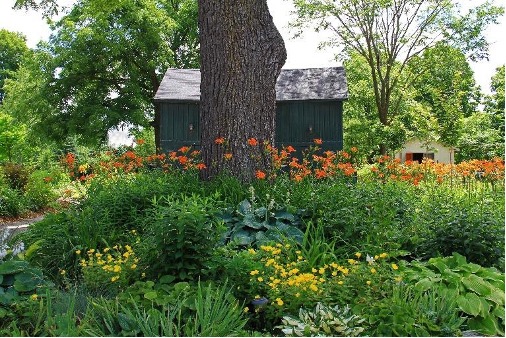 A garden with flowers and an oak tree in the center