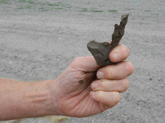 Someone demonstrates estimating soil texture by hand. This sample is rich in clay, creating a ribbon when squeezed.