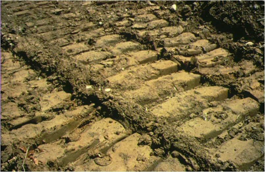 Caterpillar tracks from heavy machinery demonstrates compaction in the soil, harming the rooting environment.