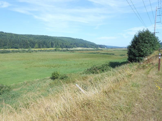 From a bluff looking into a flatter valley, landscape position affects soil wetness, with drier soils on slopes and wetter soils in low areas.