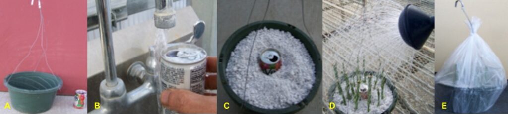 Series of photos showing the steps to construct a small-scale humidity chamber 