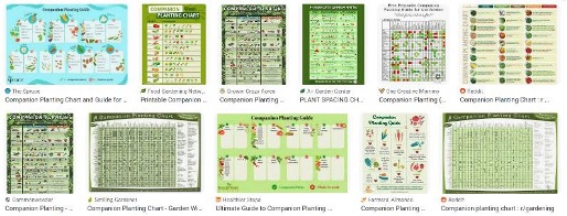 A sampling of companion plant charts available online.