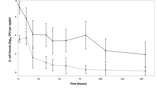 Line graph showing E. coli counts (log10 CFU per apple) over 150 hours. Two lines represent different inoculation levels. Both show a decline over time, with error bars indicating variability.