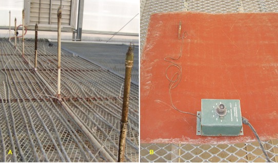 Manipulate temperature at the root zone by placing flats containing stem cuttings on heating coils or heating pads