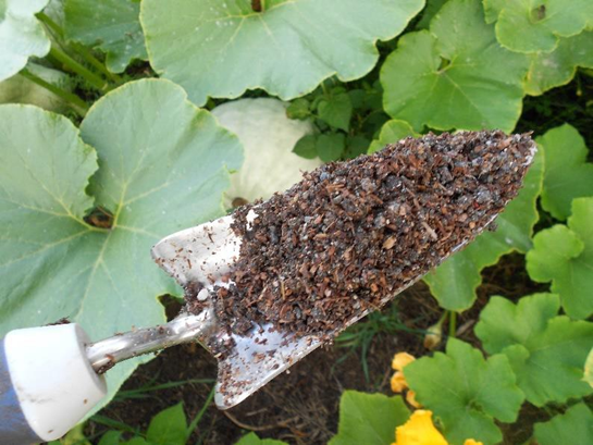 Biosolids garden blend containing Class A biosolids, sawdust, and sand. 