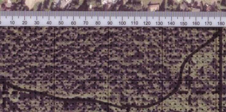 An acreage grid is overlaid on an aerial photo of a stand. 