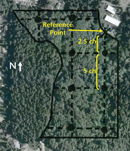 Aerial map of a forested parcel outlined in black with a dashed sampling grid and black plot dots; a ‘Reference Point’ is marked on the east edge with yellow arrows showing spacing of 2.5 chains across and 5 chains down, and a north arrow at left.