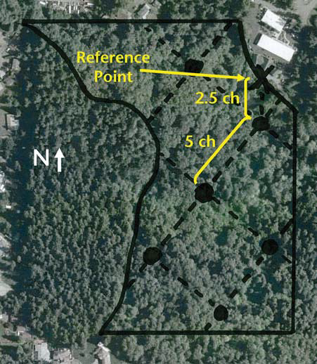 Aerial map of a forested parcel outlined in black with a dashed diagonal sampling grid; from a ‘Reference Point’ on the east edge, yellow arrows mark 2.5 chains across and 5 chains down to a sample plot; north arrow at left.