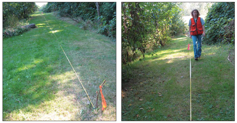 Two photos: left, a measuring tape staked with flagging runs along a grassy transect; right, a field worker in an orange vest walks beside the tape on a vegetation-lined path.