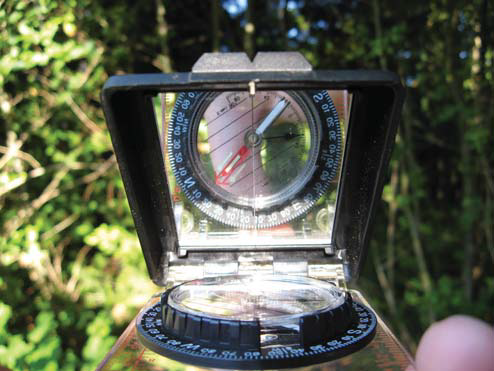 Sighting mirror compass held at eye level in a forest, showing the dial and red needle reflected for taking a bearing.