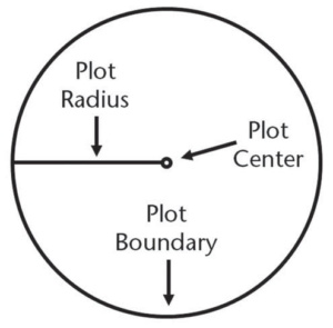 Simple diagram of a circular sample plot: a small dot marks the plot center, a line from the center to the edge shows the plot radius, and the circle edge is labeled plot boundary.