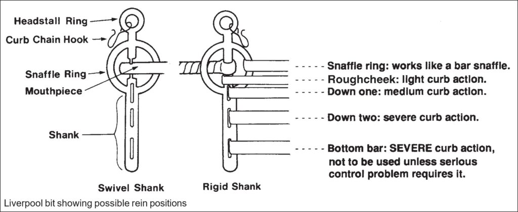 Liverpool curb bit diagram illustrating multiple rein attachment slots that vary leverage and control. In the rigid shank, the snaffle ring works like a bar snaffle. The roughcheek is for light curb action. Down one is for medium curb action, and down two is for severe curb action. The final piece is the bottom bar, and provides the most severe curb action. It is not to be used unless serious control problems require it.