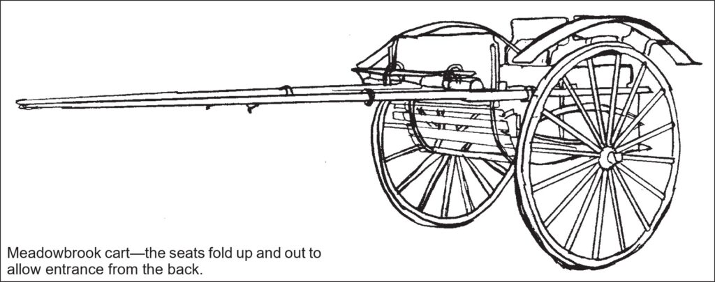 Three-quarters view of a Meadowbrook cart with large spoked wheels and rear-entry seating; the seats fold up to provide access from behind.