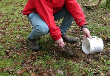 A person scooping dirt from a molehill into a small bucket.