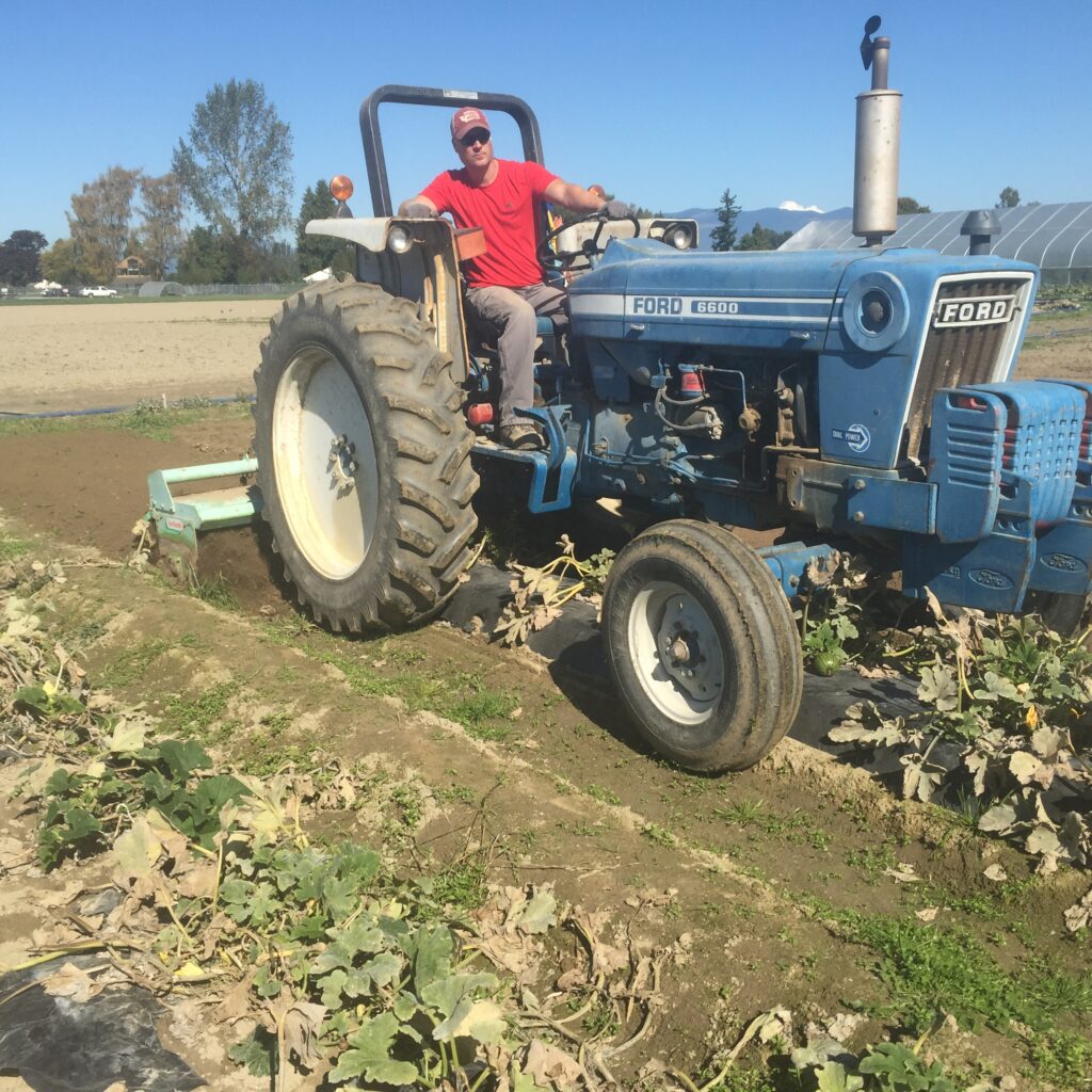 Man in tractor on sunny day.
