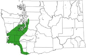 Map showing the native range of Oregon ash in southwestern Washington.