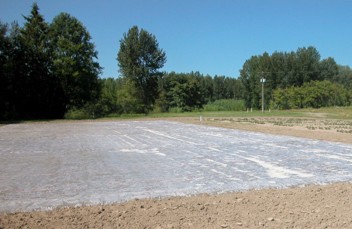 A large sheet of plastic covering the soil on a sunny day.