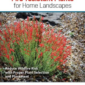 Fire-Resistant Plants for Home Landscapes